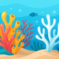 Почему кораллы теряют цвет