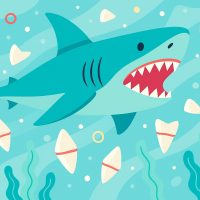 Акуланың қанша тісі бар және олардың саны неге көп?