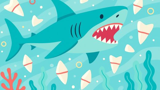 Сколько зубов у акулы и зачем их так много